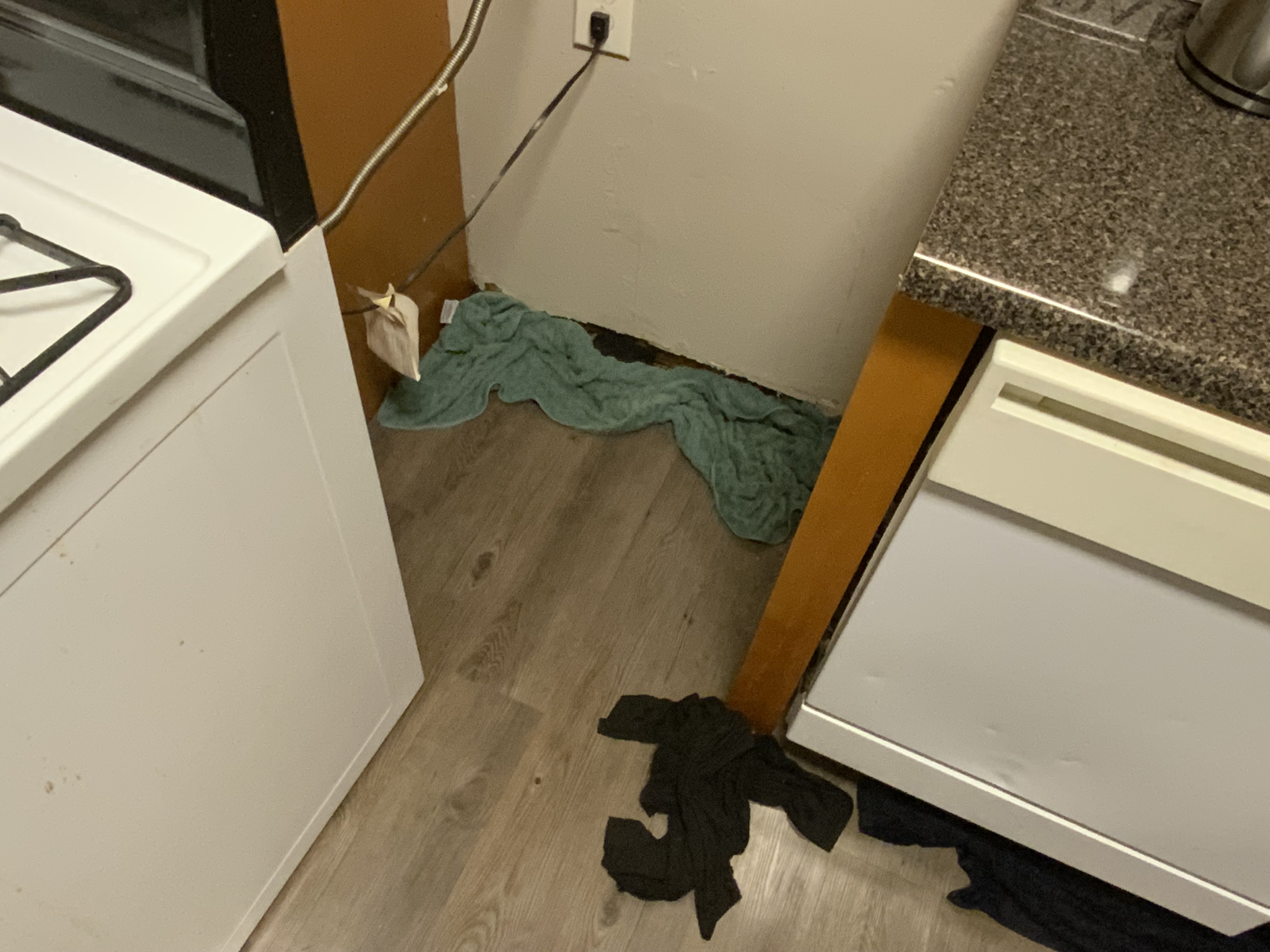 Water pooling beneath the kitchen sink and dishwasher